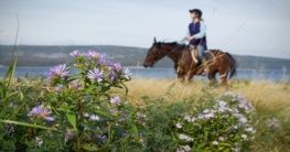 Reiten in Kanada